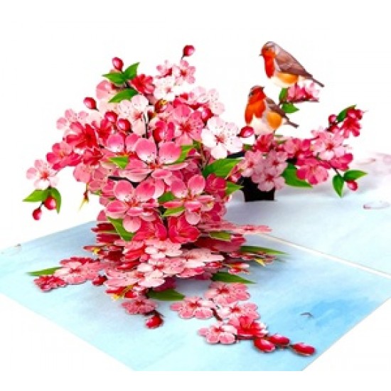 Handmade 3D Pop Up Greeting Card Robin Cherry Blossom, Birthday, Valentine's Day, wedding Anniversary, Mother's Day, Housewarming, Retirement, Thank You, Miss You, Blank