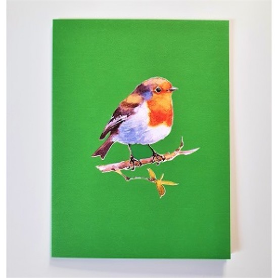 Handmade 3D Pop Up Card Robin, Birthday, Valentine’s Day, Wedding Anniversary, Christmas, Good Luck, Blank Card