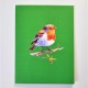 Handmade 3D Pop Up Card Robin, Birthday, Valentine’s Day, Wedding Anniversary, Christmas, Good Luck, Blank Card