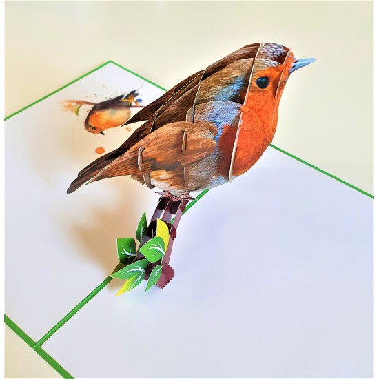 Handmade 3D Pop Up Card Robin, Birthday, Valentine’s Day, Wedding Anniversary, Christmas, Good Luck, Blank Card