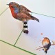 Handmade 3D Pop Up Card Robin, Birthday, Valentine’s Day, Wedding Anniversary, Christmas, Good Luck, Blank Card