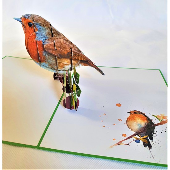 Handmade 3D Pop Up Card Robin, Birthday, Valentine’s Day, Wedding Anniversary, Christmas, Good Luck, Blank Card