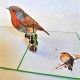 Handmade 3D Pop Up Card Robin, Birthday, Valentine’s Day, Wedding Anniversary, Christmas, Good Luck, Blank Card