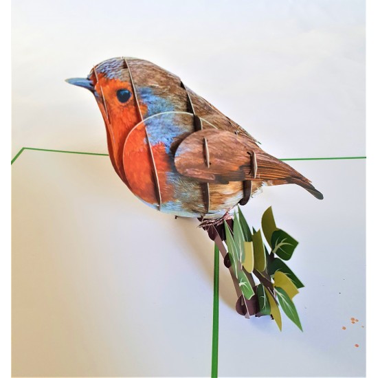 Handmade 3D Pop Up Card Robin, Birthday, Valentine’s Day, Wedding Anniversary, Christmas, Good Luck, Blank Card