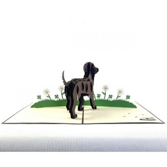 Handmade 3D Pop Up Card Brown Labrador dog pet friend Birthday Father's Day Mother's Day Wedding Anniversary Valentine's Day Blank 