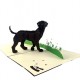 Handmade 3D Pop Up Card Brown Labrador dog pet friend Birthday Father's Day Mother's Day Wedding Anniversary Valentine's Day Blank 