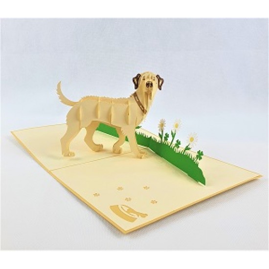 Handmade 3D Pop Up Card Labrador dog birthday Anniversary New Pet New Home Mother's day Father's day Love Friendship Blank Card Gift