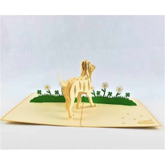 Handmade 3D Pop Up Card Labrador dog birthday Anniversary New Pet New Home Mother's day Father's day Love Friendship Blank Card Gift