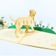 Handmade 3D Pop Up Card Labrador dog birthday Anniversary New Pet New Home Mother's day Father's day Love Friendship Blank Card Gift