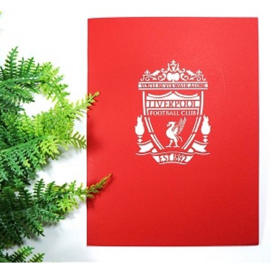 Handmade 3D Pop Up Card Liverpool Football Stadium Birthday, Valentine's day, Father's Day, Wedding Anniversary, Graduation, Christmas Love Friendship Celebrations Card