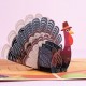 Handmade 3D pop up card Thanksgiving Turkey Pumpkin harvest celebrations blank greetings love friendship family