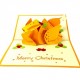 Handmade 3D Pop Up Card Christmas Turkey Merry Christmas Seasonal Greetings Celebrations Card