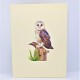 Handmade 3d Pop Up Card Barn Owl Bird House Happy Birthday Outdoor Country Life Wedding Anniversary Father's Day Mother's Day Valentine's Day Moving Leaving