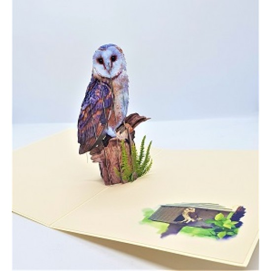 Handmade 3d Pop Up Card Barn Owl Bird House Happy Birthday Outdoor Country Life Wedding Anniversary Father's Day Mother's Day Valentine's Day Moving Leaving