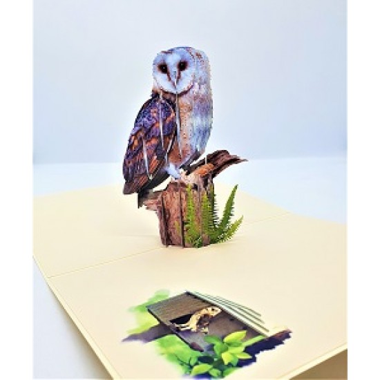 Handmade 3d Pop Up Card Barn Owl Bird House Happy Birthday Outdoor Country Life Wedding Anniversary Father's Day Mother's Day Valentine's Day Moving Leaving