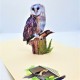 Handmade 3d Pop Up Card Barn Owl Bird House Happy Birthday Outdoor Country Life Wedding Anniversary Father's Day Mother's Day Valentine's Day Moving Leaving