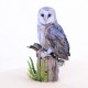 Handmade 3d Pop Up Card Barn Owl Bird House Happy Birthday Outdoor Country Life Wedding Anniversary Father's Day Mother's Day Valentine's Day Moving Leaving