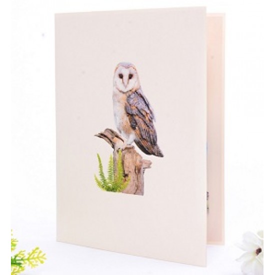 Handmade 3d Pop Up Card Barn Owl Bird House Happy Birthday Outdoor Country Life Wedding Anniversary Father's Day Mother's Day Valentine's Day Moving Leaving