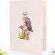 Handmade 3d Pop Up Card Barn Owl Bird House Happy Birthday Outdoor Country Life Wedding Anniversary Father's Day Mother's Day Valentine's Day Moving Leaving