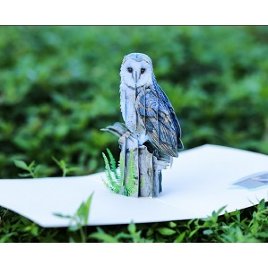 Handmade 3d Pop Up Card Barn Owl Bird House Happy Birthday Outdoor Country Life Wedding Anniversary Father's Day Mother's Day Valentine's Day Moving Leaving