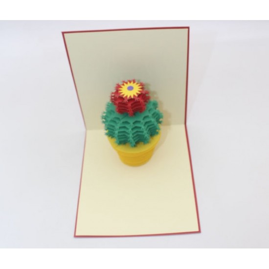 Handmade 3d Popup Card Cactus Greeting Card Birthday Wedding Anniversary Valentines Day Mother's Day Father's Day New Home Housewarming Gift