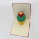 Handmade 3d Popup Card Cactus Greeting Card Birthday Wedding Anniversary Valentines Day Mother's Day Father's Day New Home Housewarming Gift