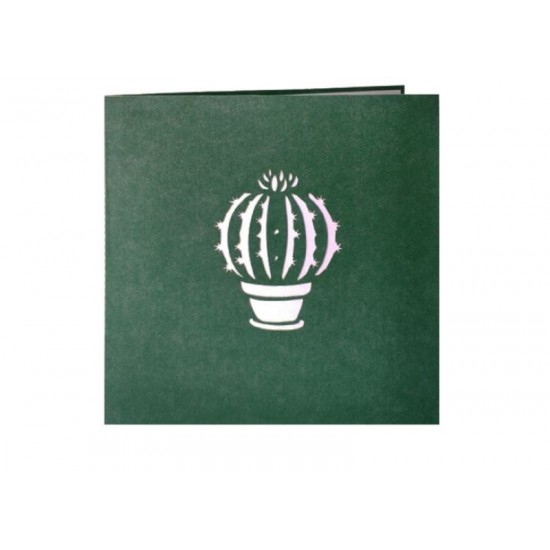 Handmade 3d Pop Up Birthday Card Cactus Home Housewarming Wedding Anniversary Valentines Mother's Day Father's Day Thank You Sympathy Card