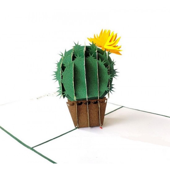 Handmade 3d Pop Up Birthday Card Cactus Home Housewarming Wedding Anniversary Valentines Mother's Day Father's Day Thank You Sympathy Card