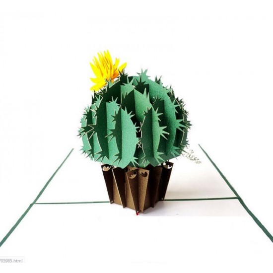 Handmade 3d Pop Up Birthday Card Cactus Home Housewarming Wedding Anniversary Valentines Mother's Day Father's Day Thank You Sympathy Card