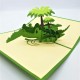 Handmade 3d Pop Up Card Crocodile Happy Birthday Card,father's Day Card,kid Child Party Invitation,wedding Anniversary Card,baby Shower Birth Card,holiday Card