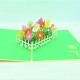 Handmade 3d Pop Up Card Daisy Flower Garden,birthday Card,mother's Day Card,wedding Anniversary Card,congratulations Card,thank You Card,sympathy Card