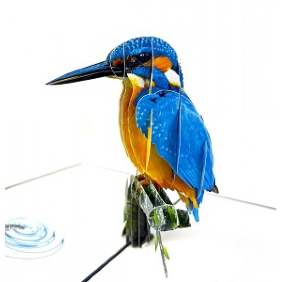 Handmade 3D Pop Up Card Kingfisher Bird Birthday Wedding Anniversary Valentine's Day Father's Day Mother's Day Thank You Moving Leaving Housewarming Greetings