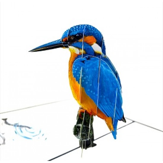 Handmade 3D Pop Up Card Kingfisher Bird Birthday Wedding Anniversary Valentine's Day Father's Day Mother's Day Thank You Moving Leaving Housewarming Greetings