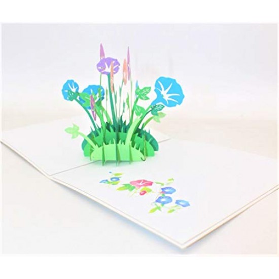 Handmade 3d Pop Up Card Morning Glory Flower Birthday Anniversary Mother's Day Thank You Get Well Greetings