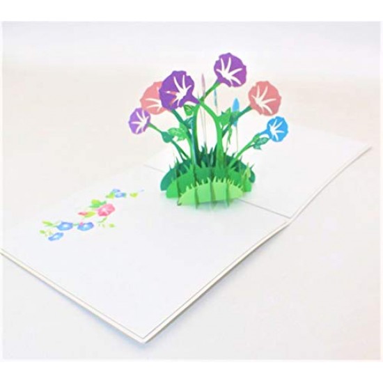 Handmade 3d Pop Up Card Morning Glory Flower Birthday Anniversary Mother's Day Thank You Get Well Greetings