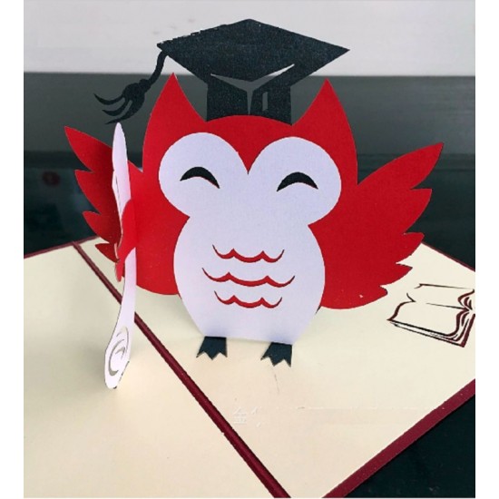 Handmade 3D Pop Up Card Owl Bird Birthday Graduation Celebration Ceremony Congratulations Hat School College University Blank Card for Him Her Friend Family