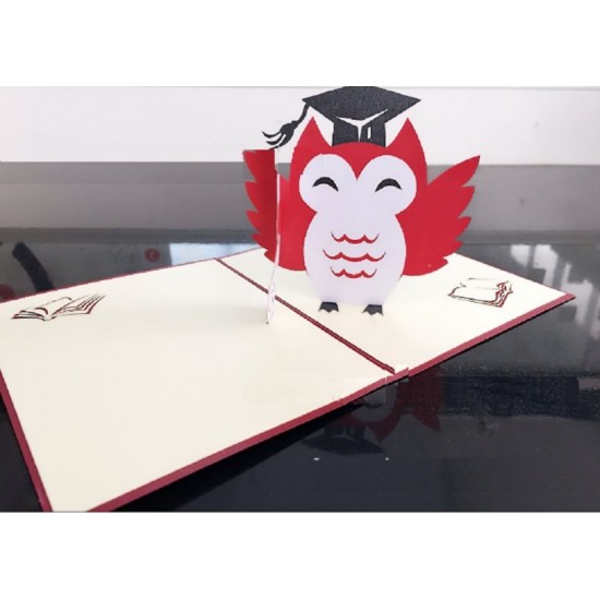 Handmade 3D Pop Up Card Owl Bird Birthday Graduation Celebration Ceremony Congratulations Hat School College University Blank Card for Him Her Friend Family