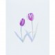 Handmade 3d Pop Up Birthday Card Flower Purple Tulip Greeting Card Mother's Day Wedding Anniversary Valentines Bridal Shower Origami Kirigami Papercraft