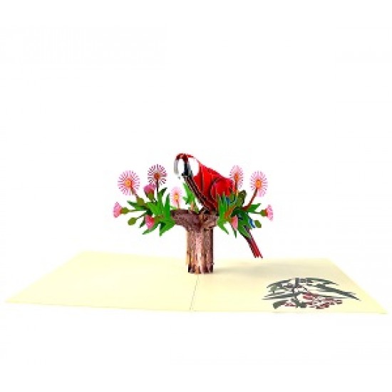 Handmade 3d Pop Up Card Red Parrot Bird Happy Birthday,valentine's Day,father's Day,mother's Day,new Home,housewarming Gift Outdoor Invitation