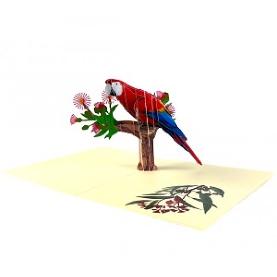 Handmade 3d Pop Up Card Red Parrot Bird Happy Birthday,valentine's Day,father's Day,mother's Day,new Home,housewarming Gift Outdoor Invitation