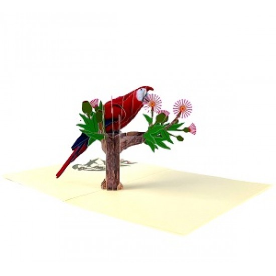 Handmade 3d Pop Up Card Red Parrot Bird Happy Birthday,valentine's Day,father's Day,mother's Day,new Home,housewarming Gift Outdoor Invitation