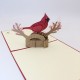 Handmade 3d Pop Up Card Red Parrot Bird Birthday,wedding Anniversary,mother's Day,new Home Housewarming Ornament,baby Birth Shower,greetings