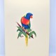 Handmade 3D Pop Up Card Parrot Bird Happy Birthday,wedding Anniversary,mother's Day,father's Day,moving,leaving,valentine's Day