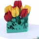 Handmade 3d Pop Up Birthday Card Tulip Mother's Day Wedding Anniversary Valentines Housewarming Vintage Garden Flower Graduation Engagement